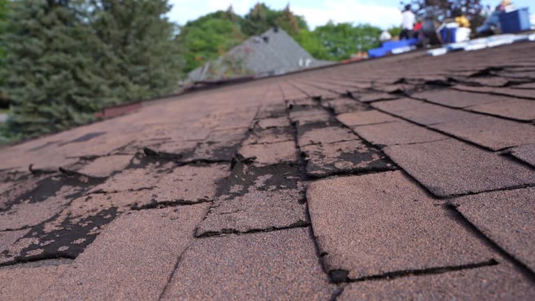 Best Rubber Roofing (EPDM, TPO)  in Kirby, TX